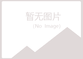 蓝山县山柳机械有限公司